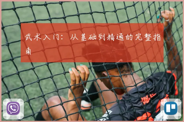 武术入门:从基础到精通的完整指南