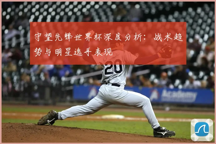 守望先锋世界杯深度分析:战术趋势与明星选手表现