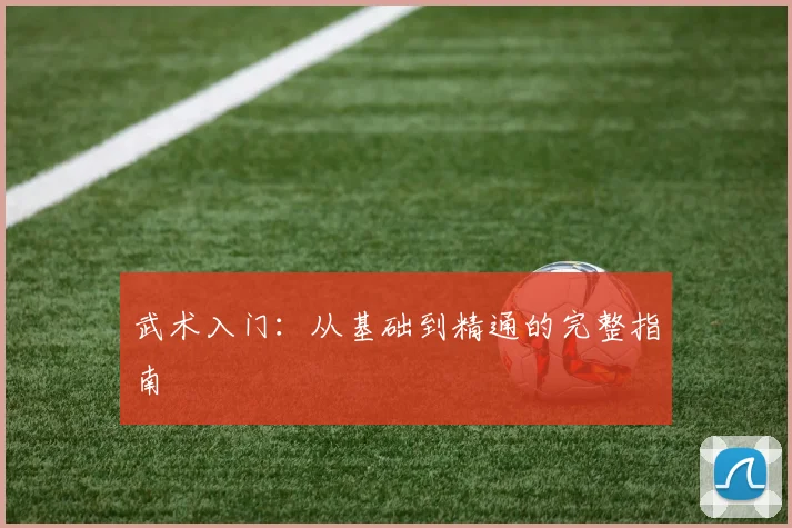 武术入门:从基础到精通的完整指南