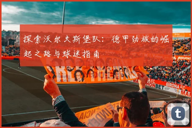 探索沃尔夫斯堡队：德甲劲旅的崛起之路与球迷指南